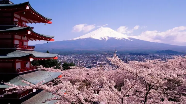 Pagoda and cherry blossoms in front of Mount Fuji, Japan