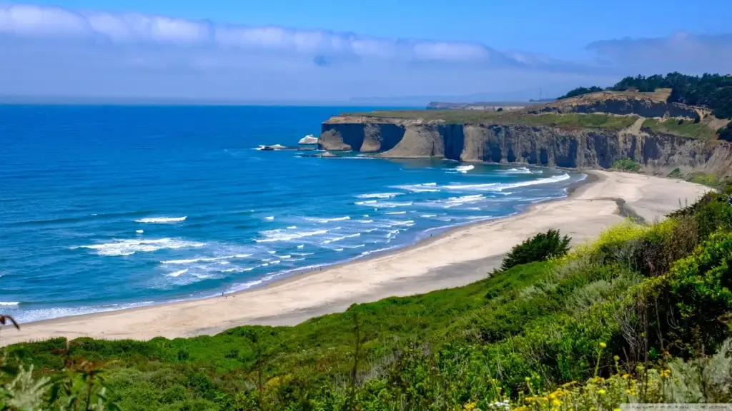 Sandy beach and green coastal bluffs on the Pacific coast