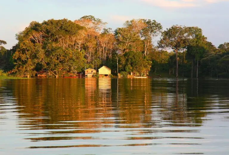 The Amazon River at golden hour, Brazil