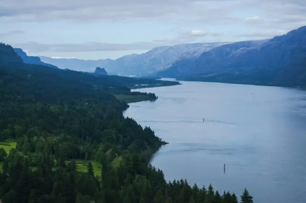 River winding through a forested gorge in the Pacific Northwest
