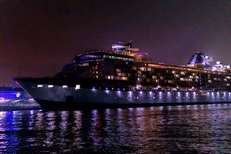 Cruise ship lit up at night