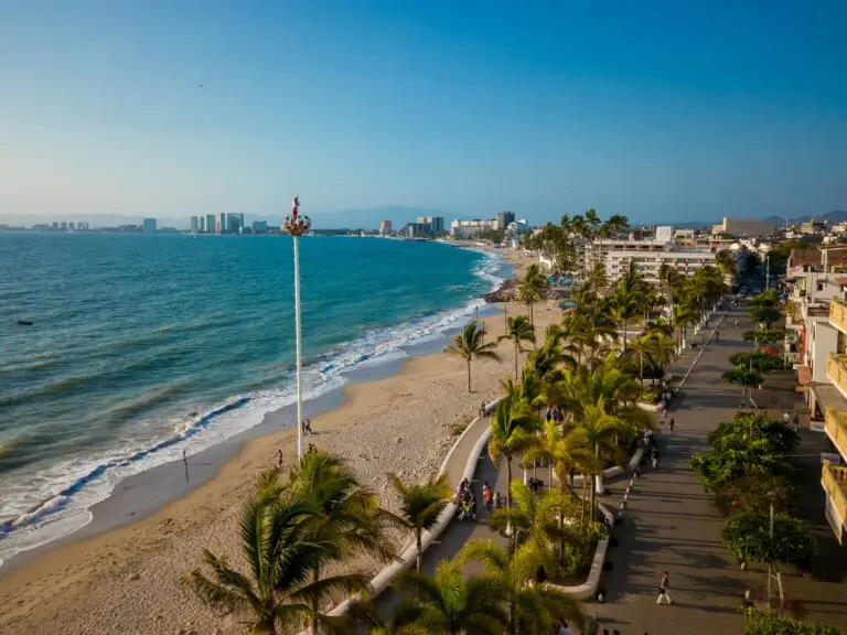 Palm-lined beach on Mexico's Pacific coast